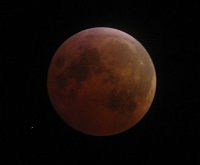 IMG_1292 copy 